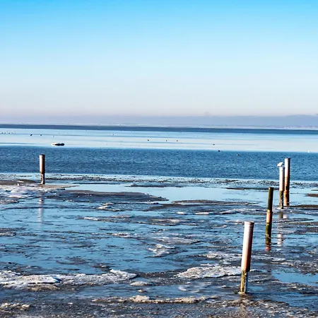 Apartmán Dehne-5 By Interhome *